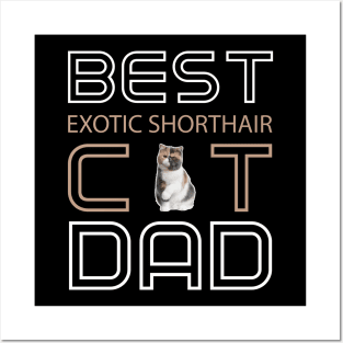 Best Exotic Shorthair Cat Dad Posters and Art